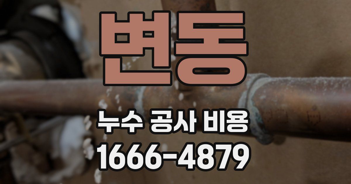 변동 누수 공사 비용