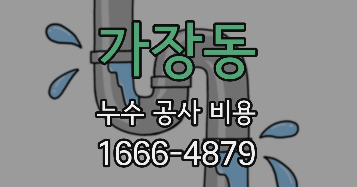 가장동 누수 공사 비용