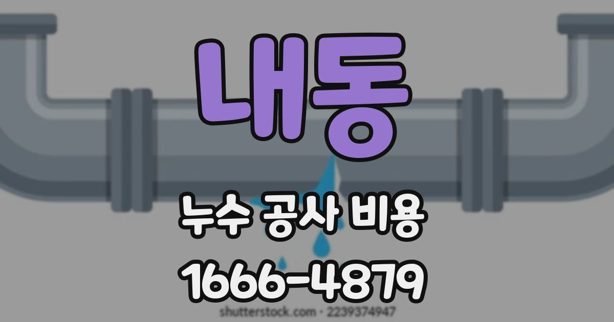 내동 누수 공사 비용