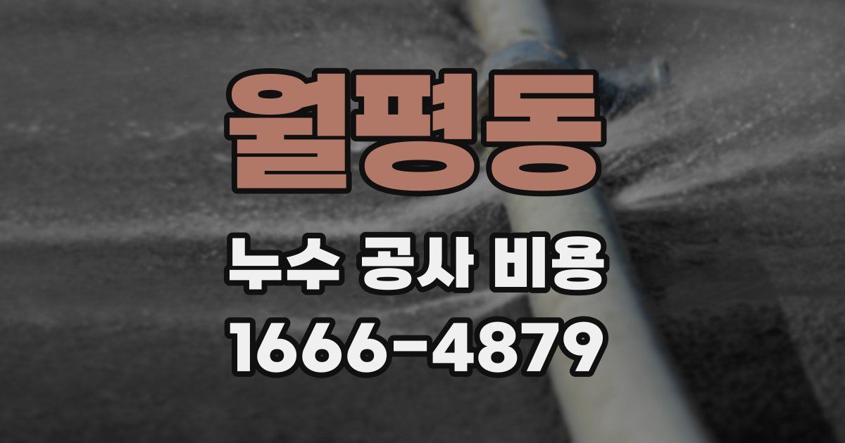 월평동 누수 공사 비용