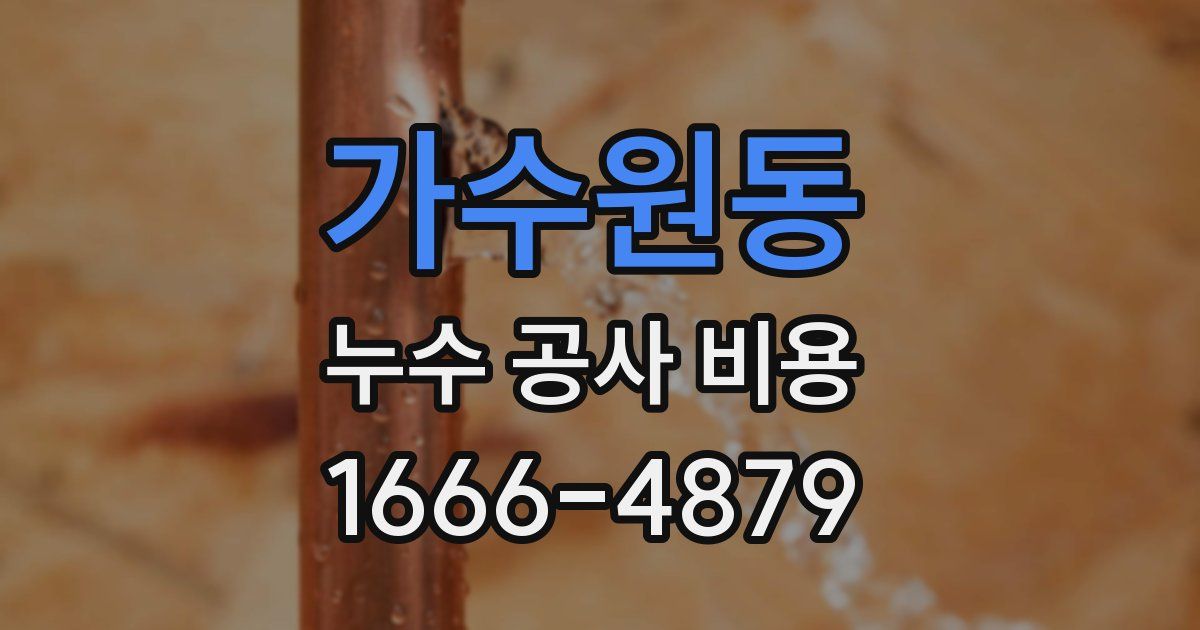 가수원동 누수 공사 비용