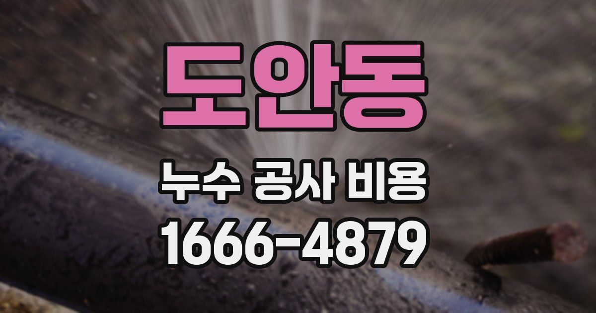 도안동 누수 공사 비용