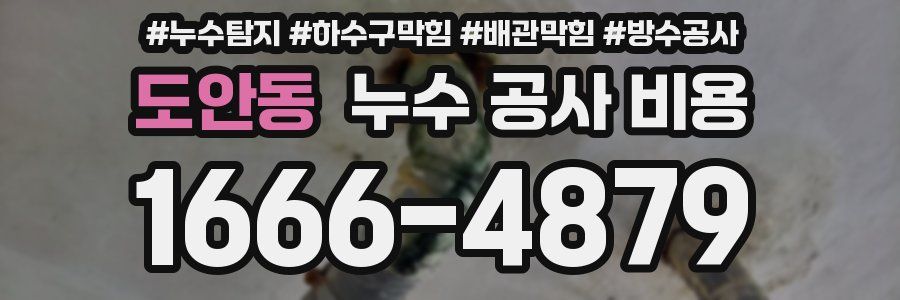 도안동 누수 공사 비용