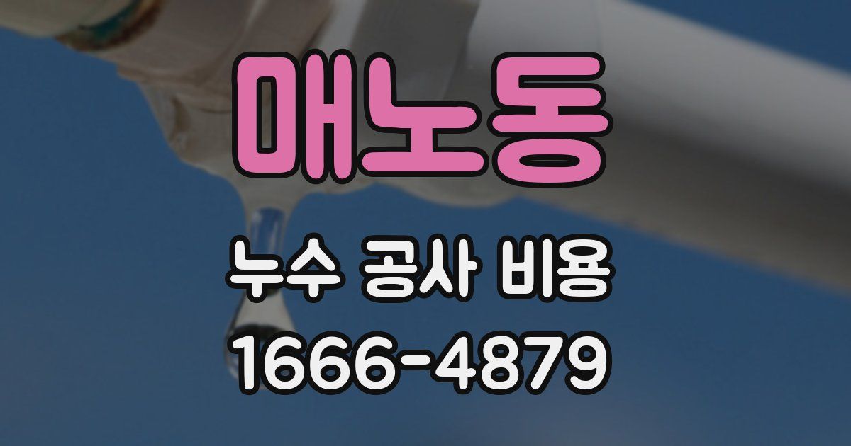 매노동 누수 공사 비용