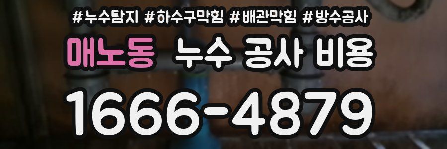 매노동 누수 공사 비용