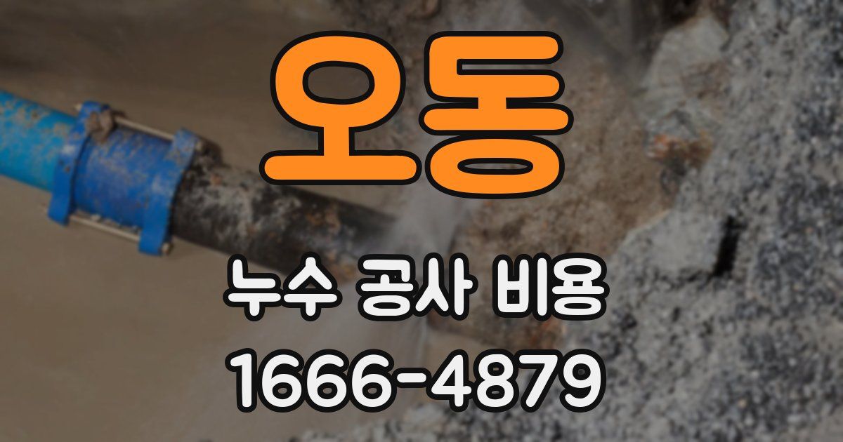오동 누수 공사 비용