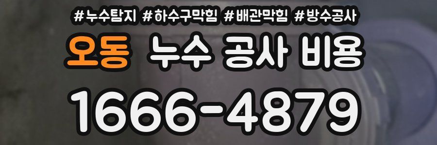 오동 누수 공사 비용
