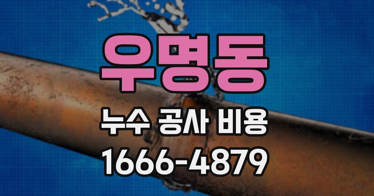 우명동 누수 공사 비용
