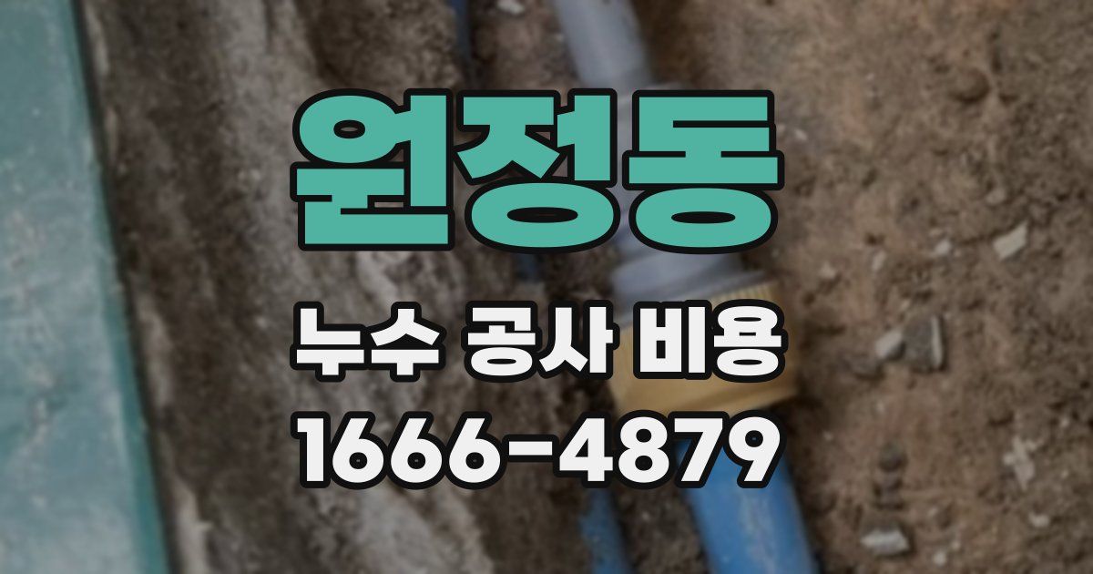 원정동 누수 공사 비용