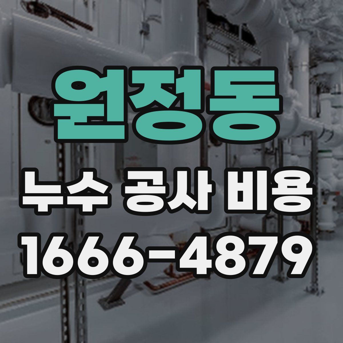 원정동 누수 공사 비용
