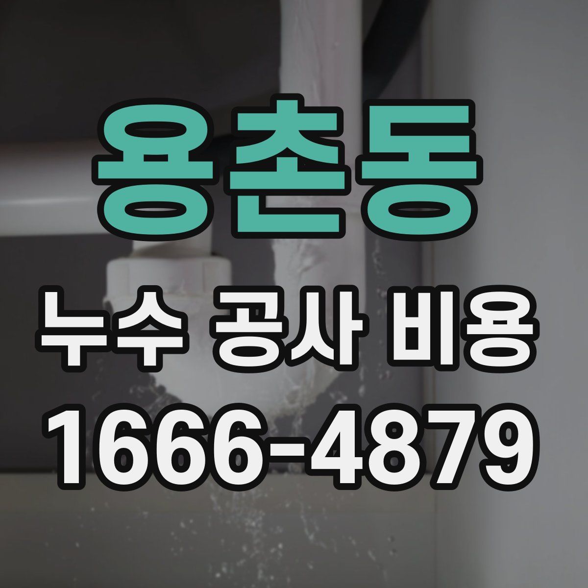 용촌동 누수 공사 비용