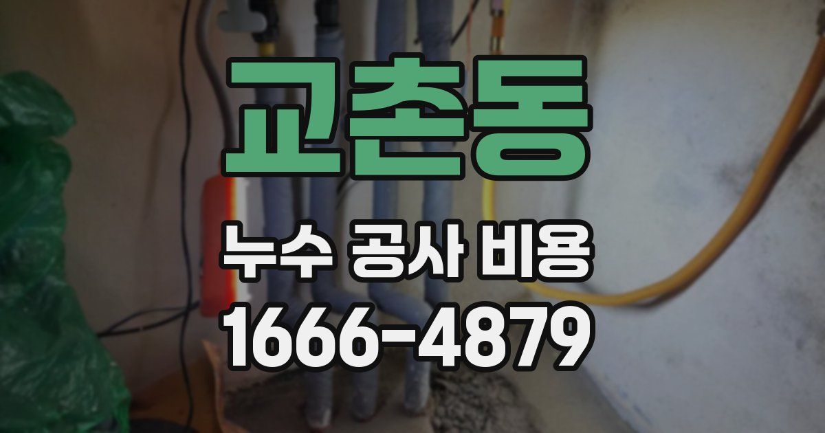 교촌동 누수 공사 비용