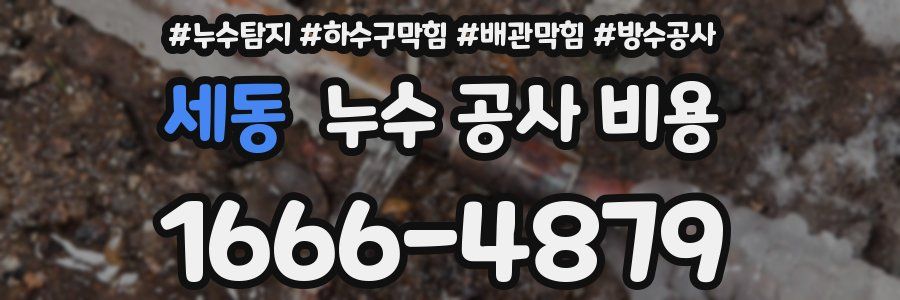 세동 누수 공사 비용
