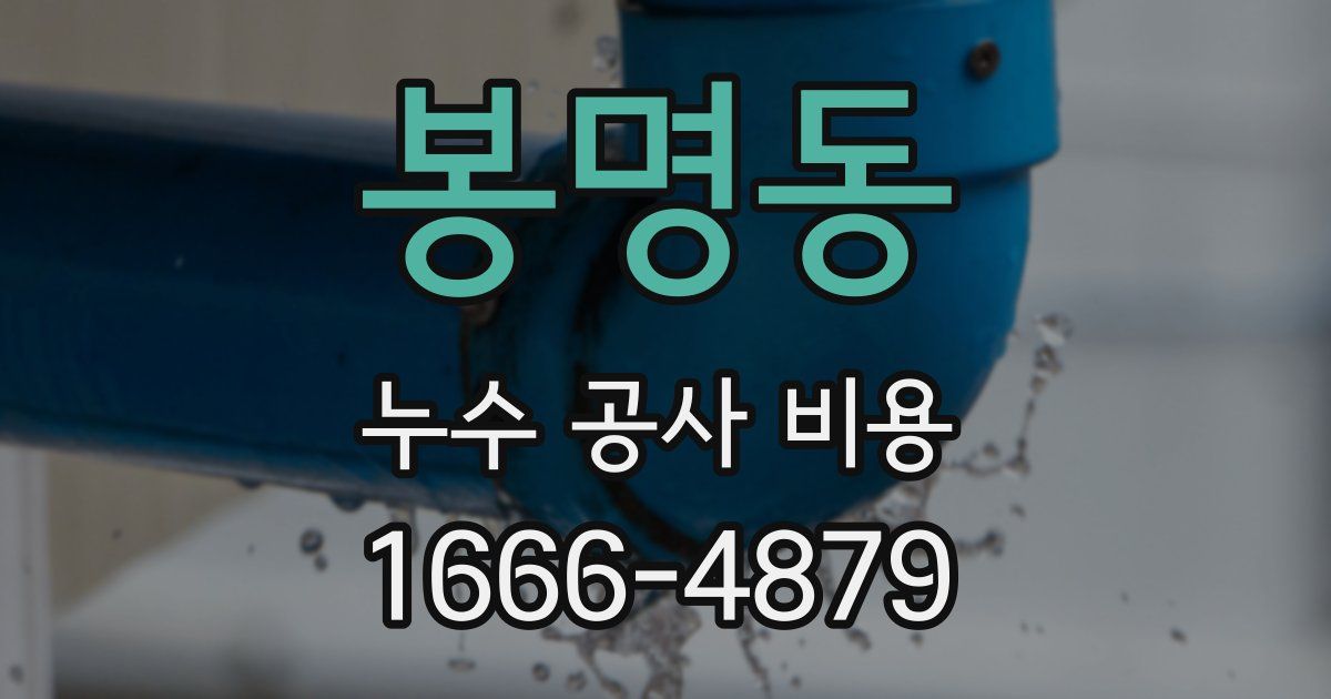 봉명동 누수 공사 비용