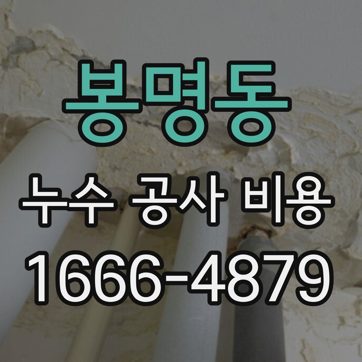 봉명동 누수 공사 비용