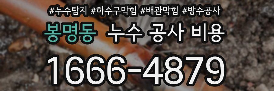 봉명동 누수 공사 비용