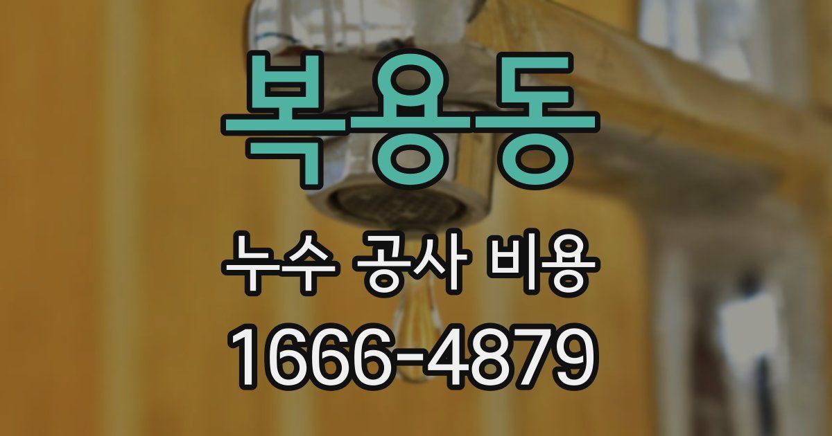 복용동 누수 공사 비용