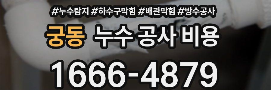 궁동 누수 공사 비용