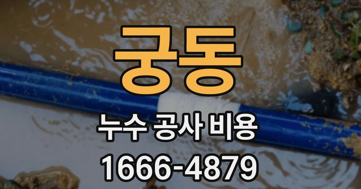 궁동 누수 공사 비용