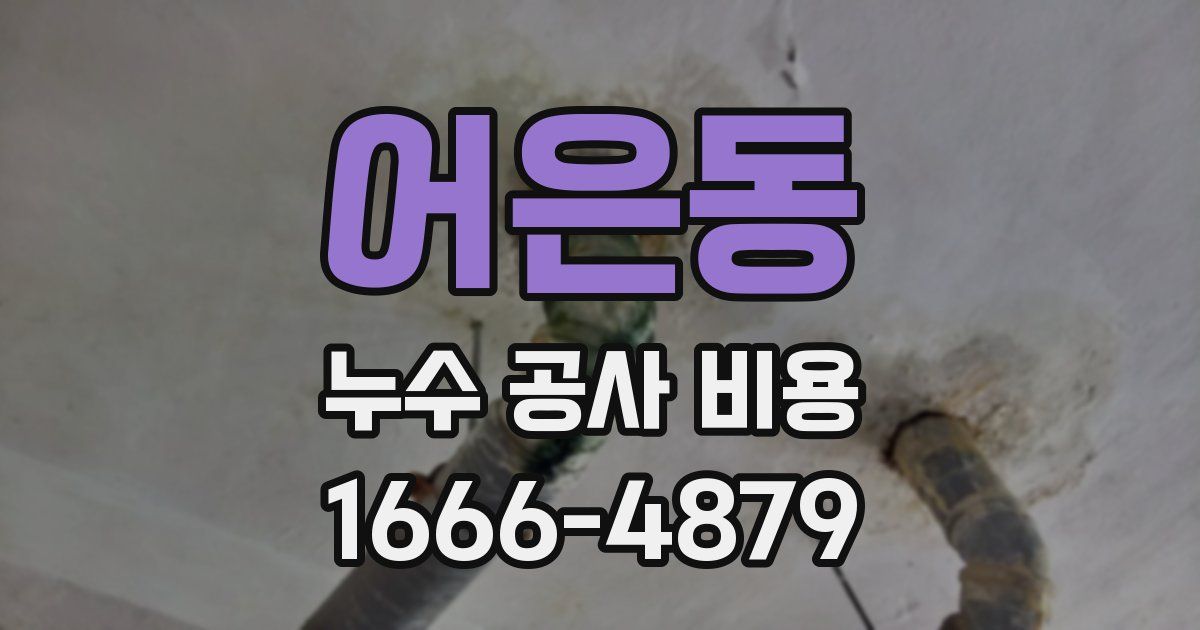 어은동 누수 공사 비용