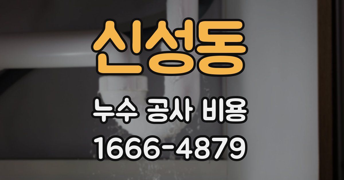 신성동 누수 공사 비용