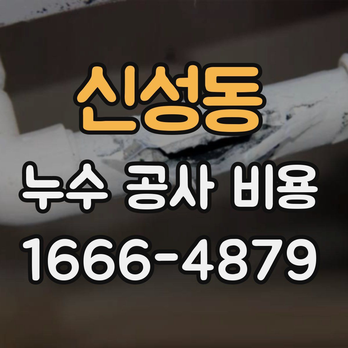 신성동 누수 공사 비용