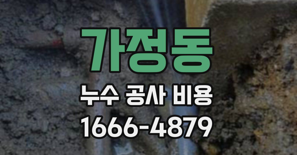 가정동 누수 공사 비용