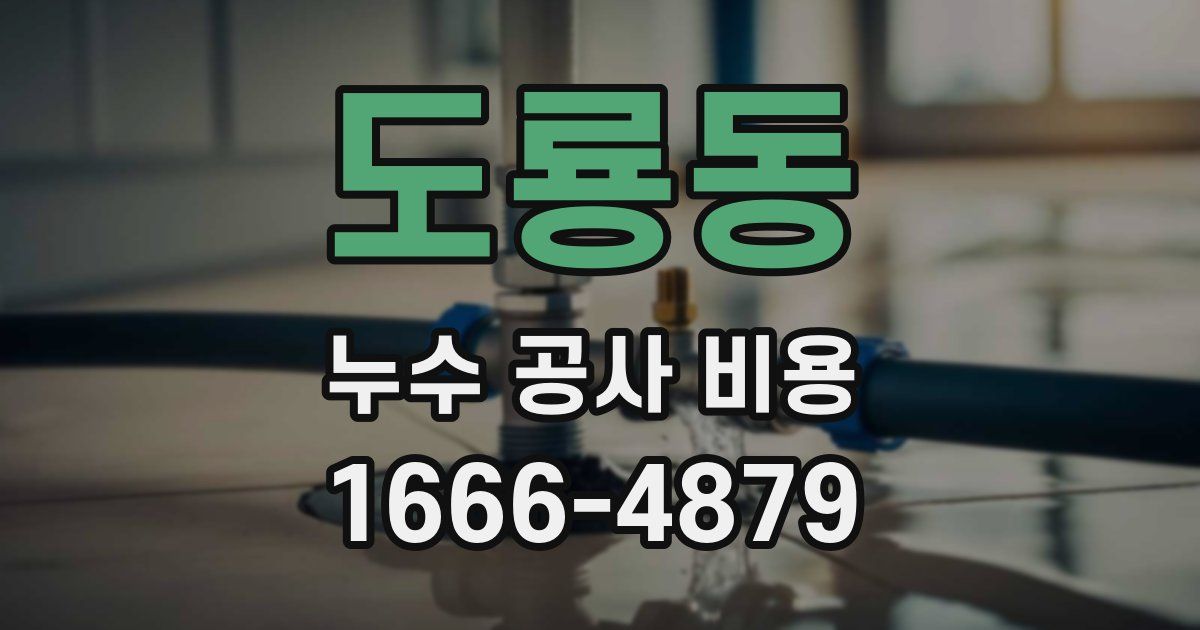 도룡동 누수 공사 비용