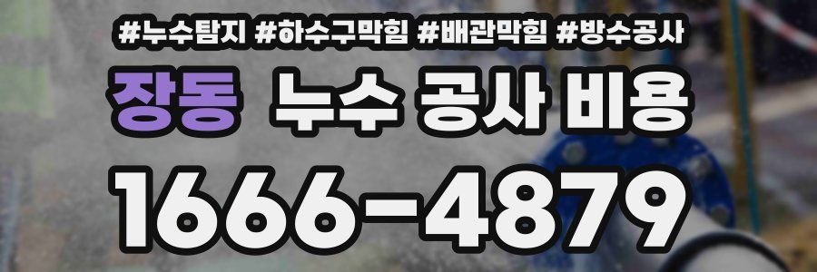 장동 누수 공사 비용
