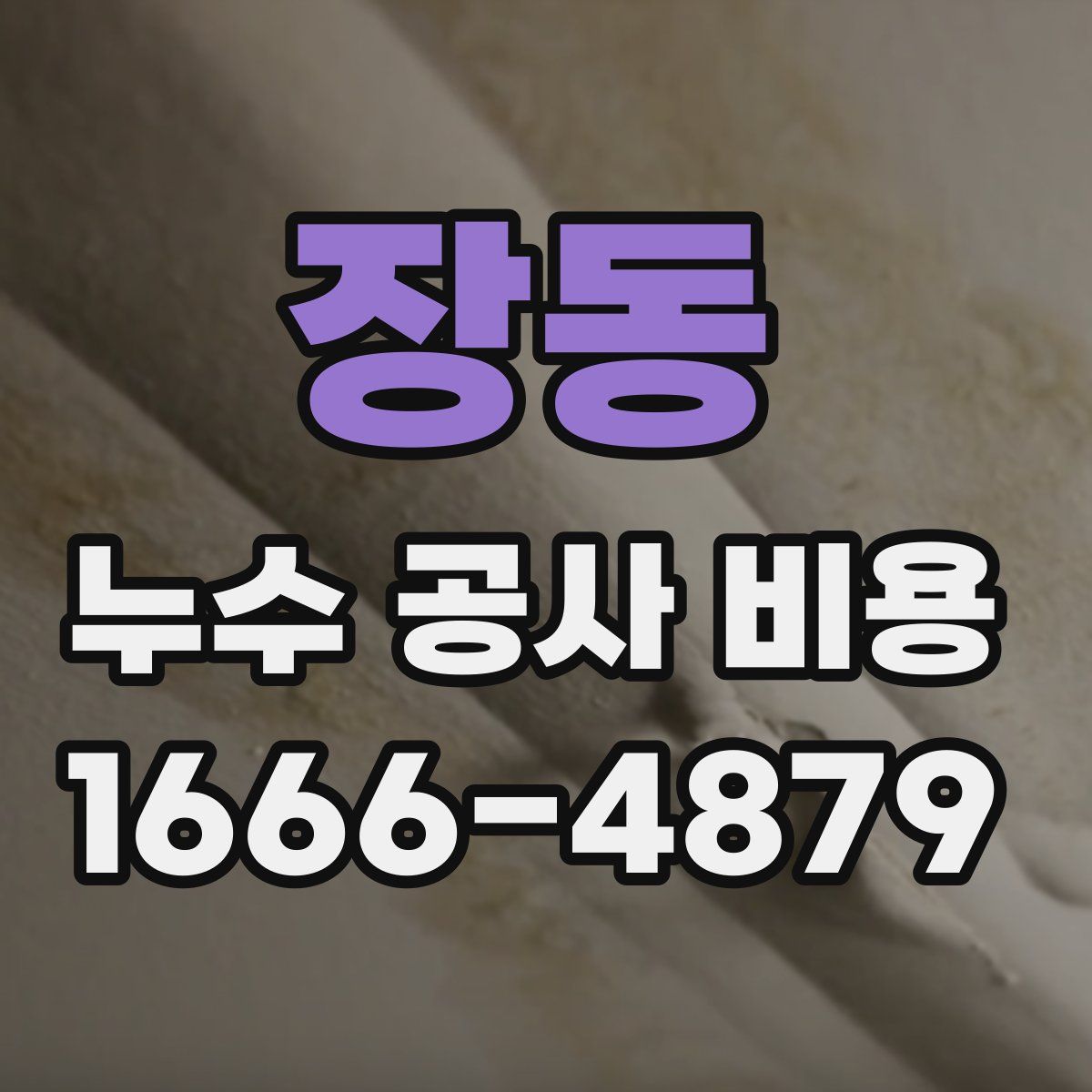장동 누수 공사 비용