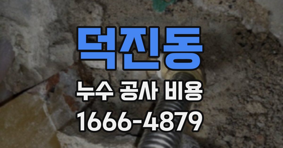 덕진동 누수 공사 비용