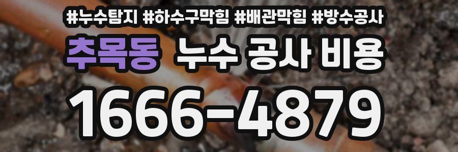 추목동 누수 공사 비용