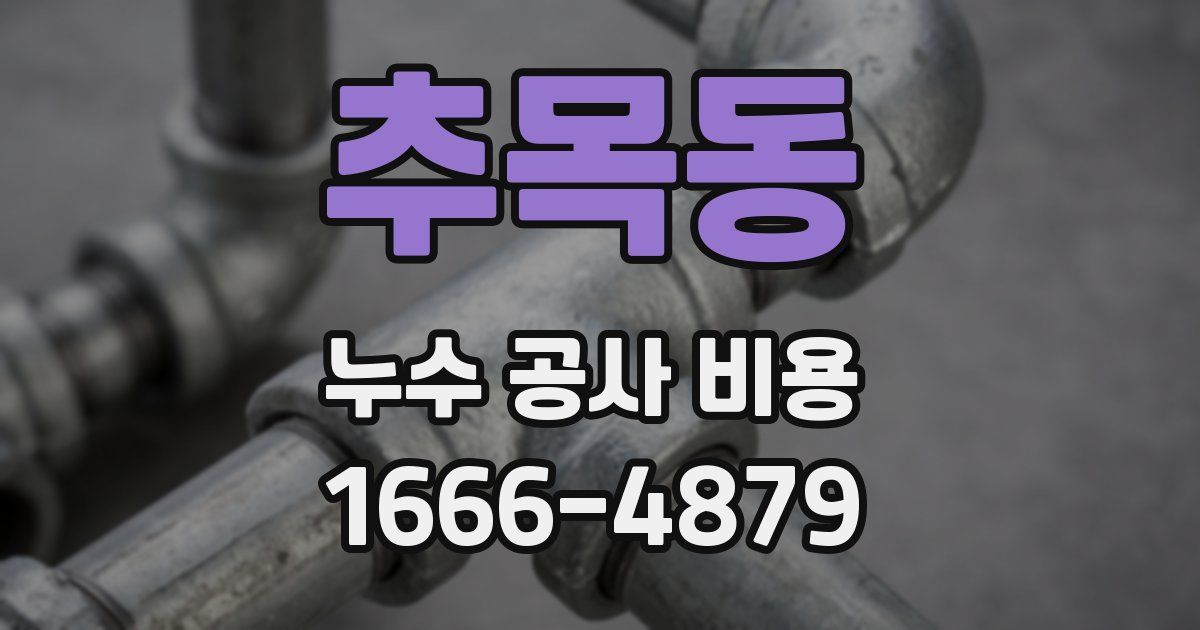 추목동 누수 공사 비용