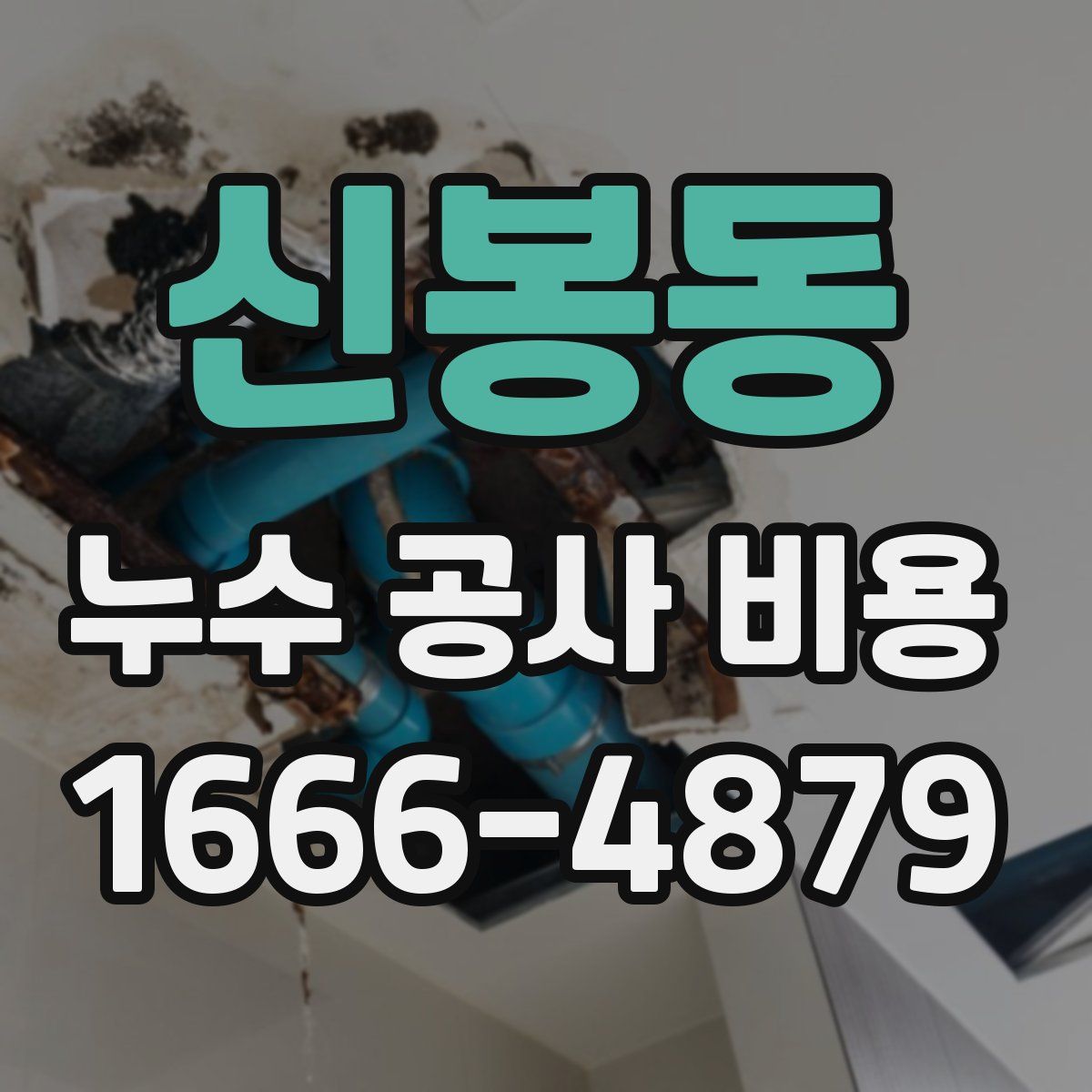 신봉동 누수 공사 비용