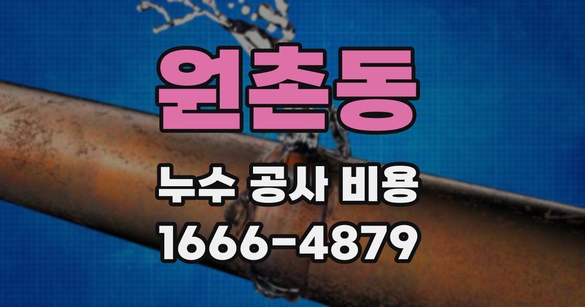 원촌동 누수 공사 비용