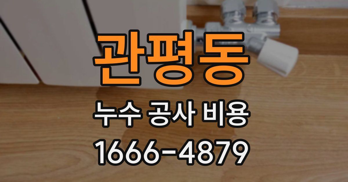 관평동 누수 공사 비용