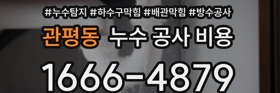 관평동 누수 공사 비용