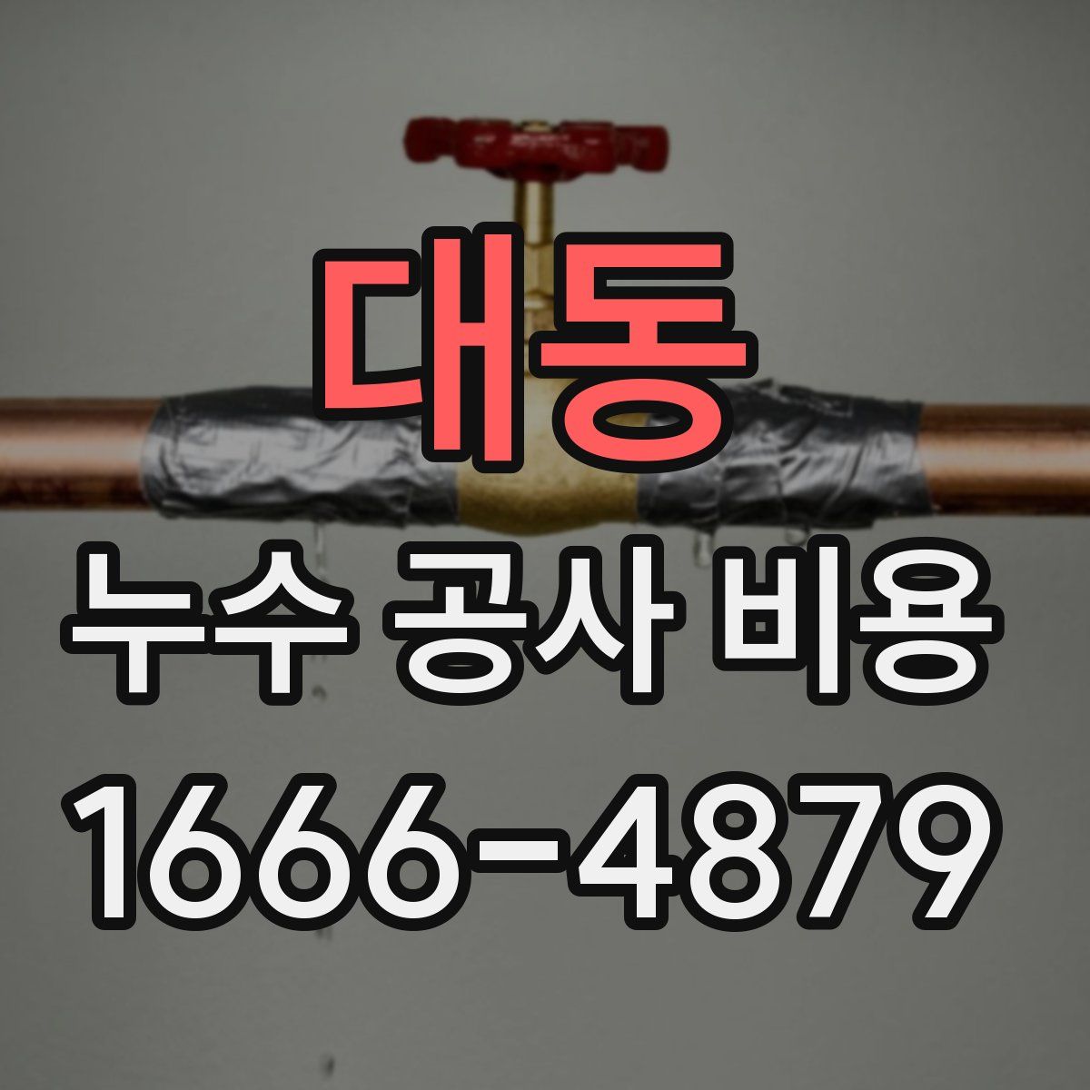 대동 누수 공사 비용