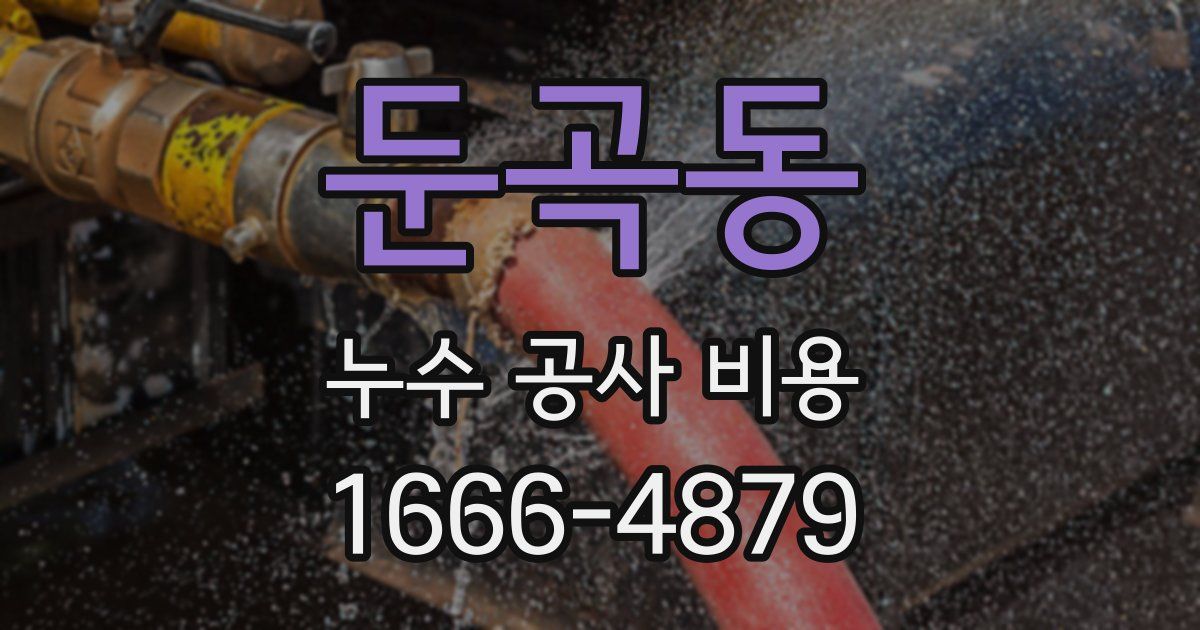 둔곡동 누수 공사 비용