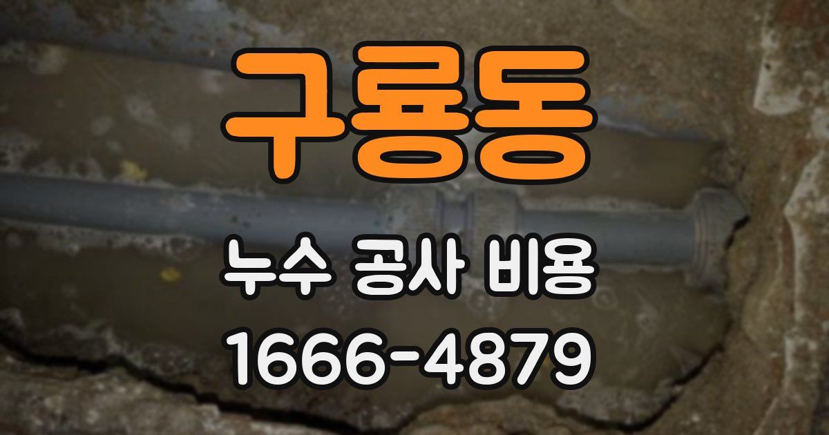 구룡동 누수 공사 비용