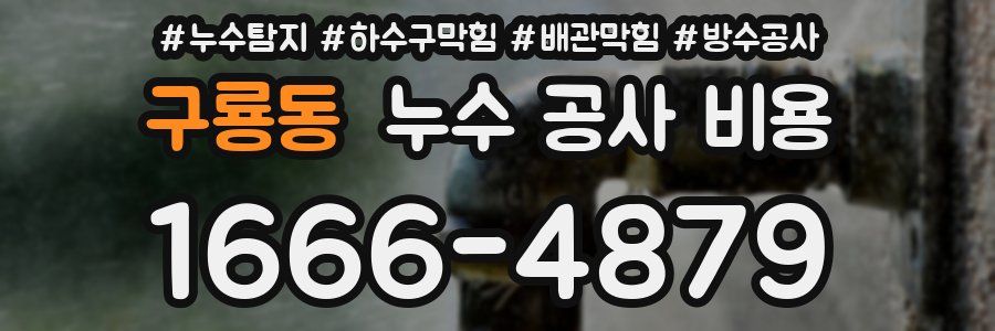구룡동 누수 공사 비용