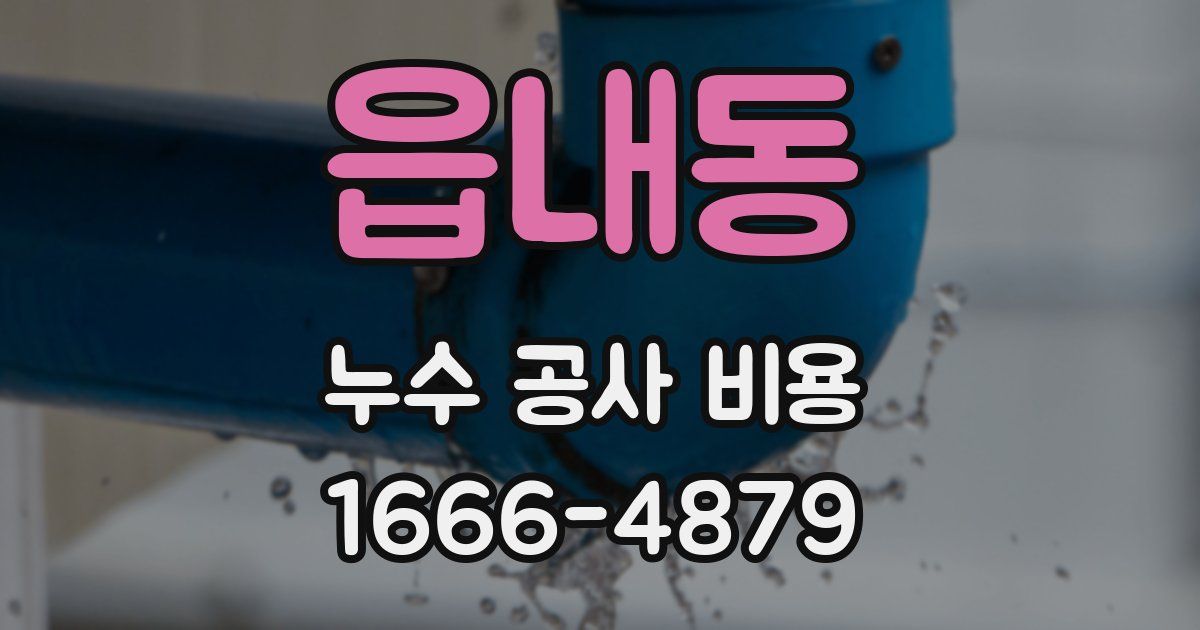 읍내동 누수 공사 비용