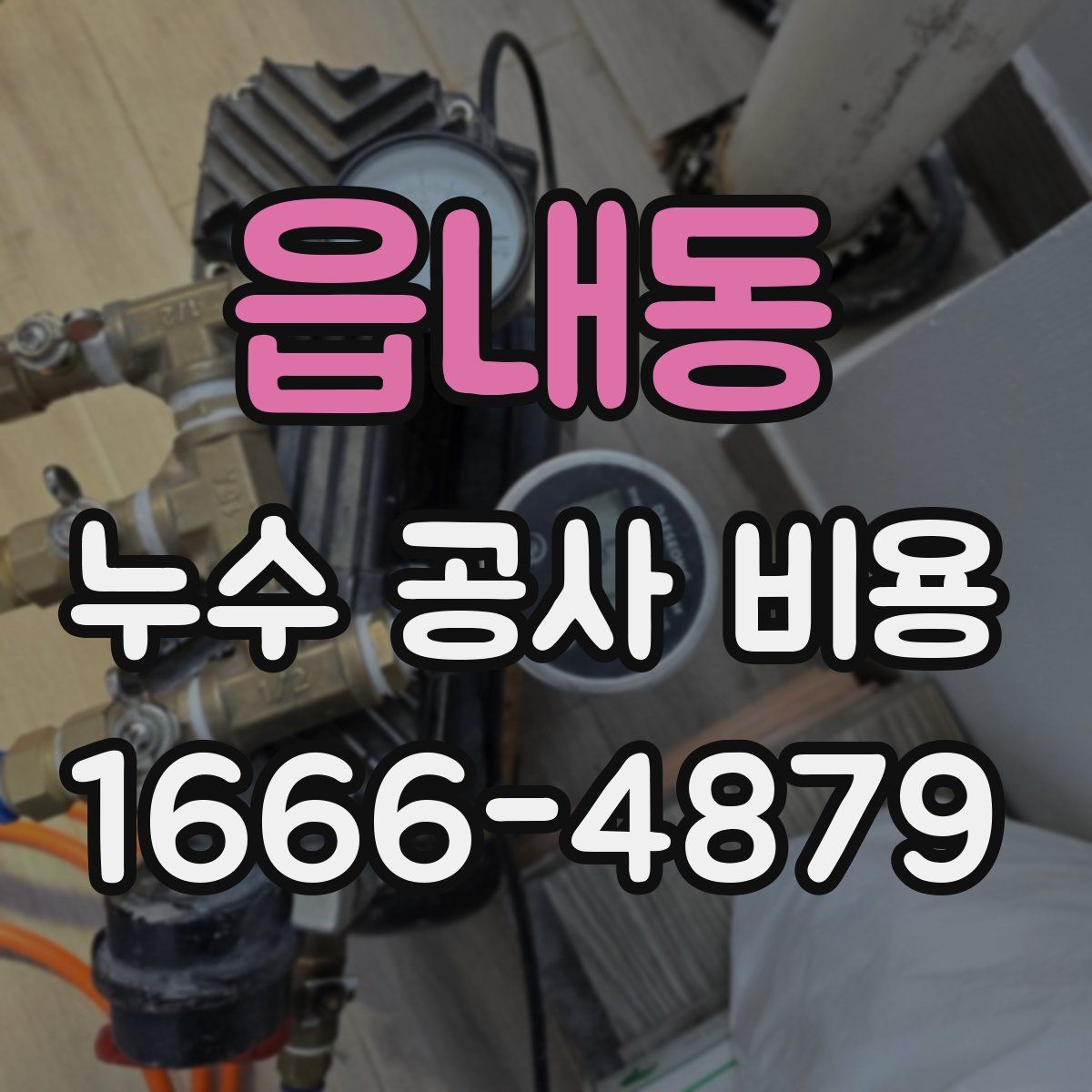 읍내동 누수 공사 비용