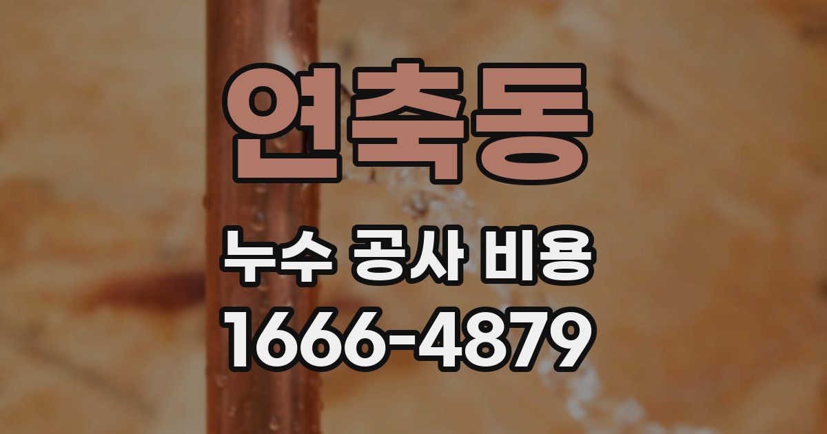 연축동 누수 공사 비용