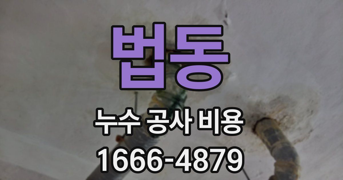 법동 누수 공사 비용