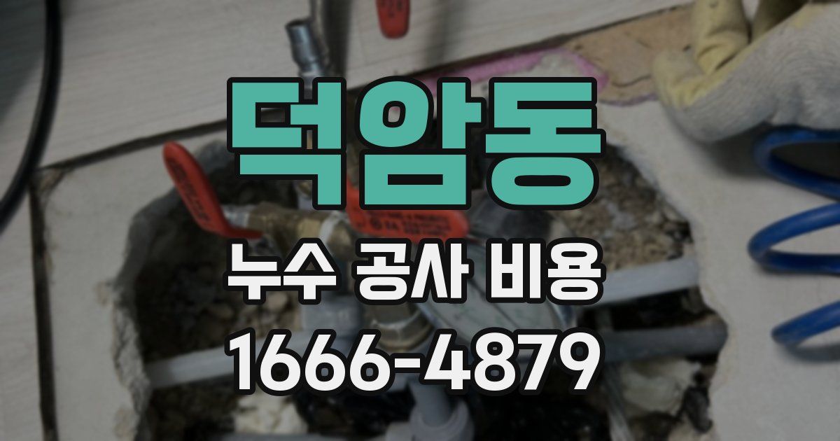 덕암동 누수 공사 비용