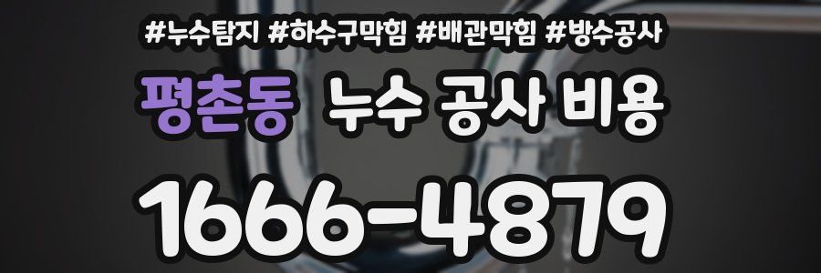 평촌동 누수 공사 비용