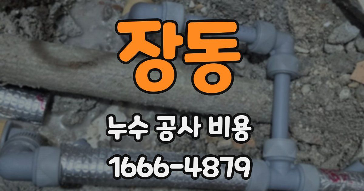 장동 누수 공사 비용