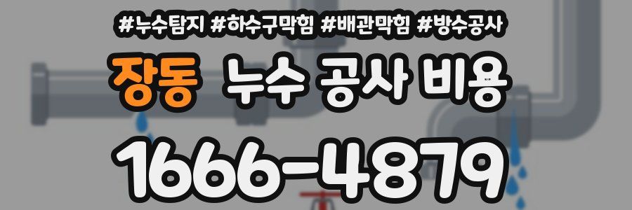 장동 누수 공사 비용