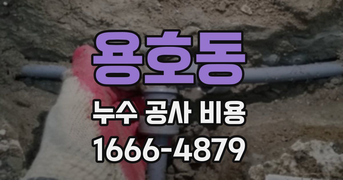 용호동 누수 공사 비용